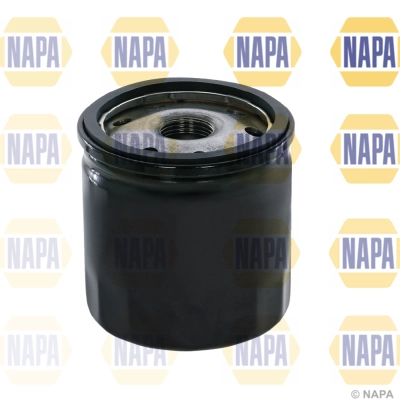 NFO3156