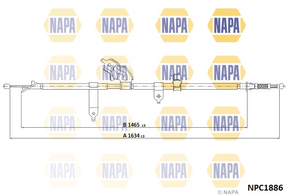 NPC1886
