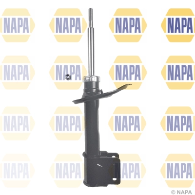 NSA1319