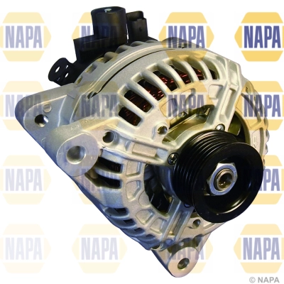 NAL1231