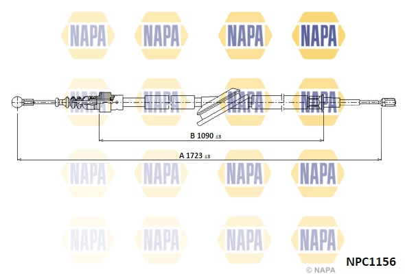 NPC1156