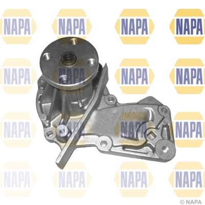NWP1213