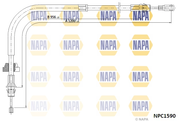 NPC1590