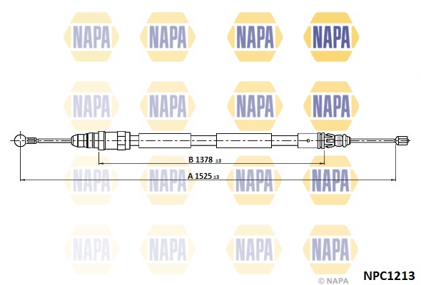 NPC1213
