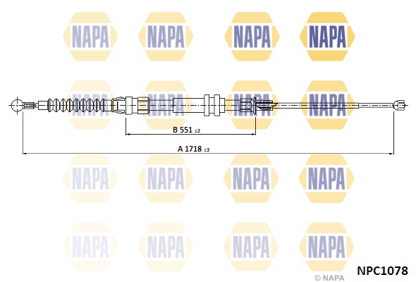 NPC1078
