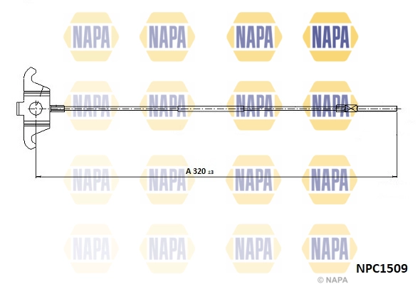 NPC1509