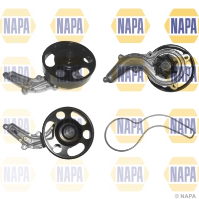 NWP1233