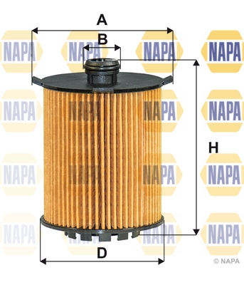 NFO3173