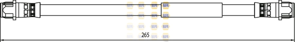 NBH1298