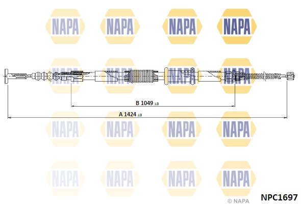 NPC1697