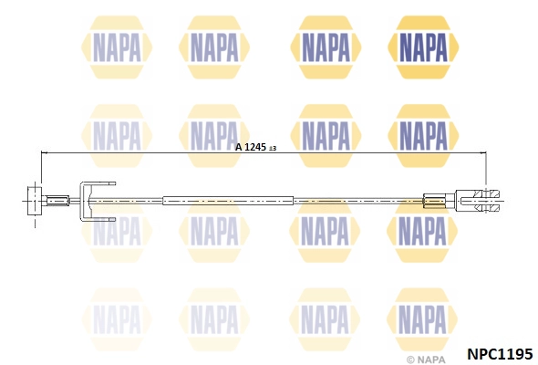 NPC1195