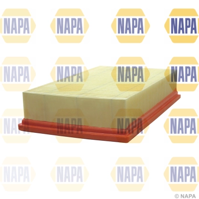 NFA1179