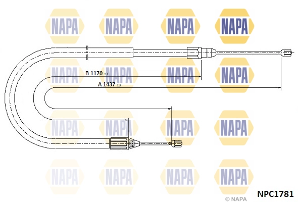 NPC1781