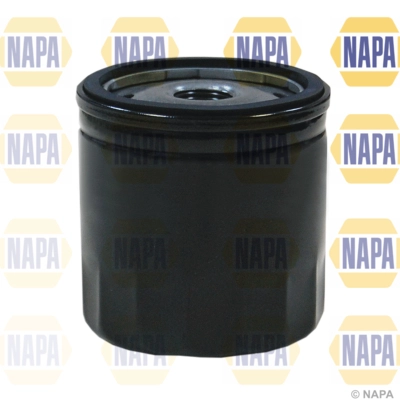 NFO3117