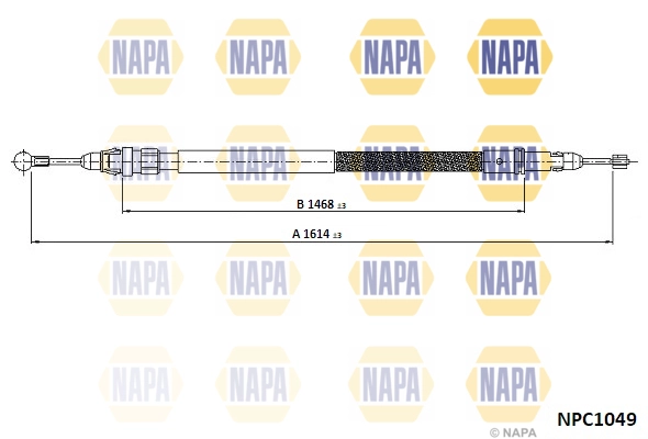NPC1049