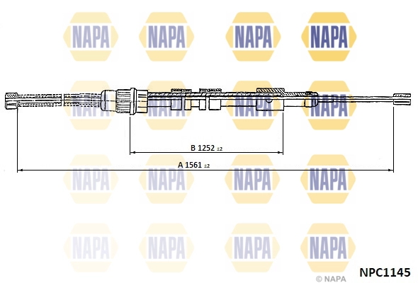 NPC1145