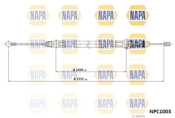 NPC1003
