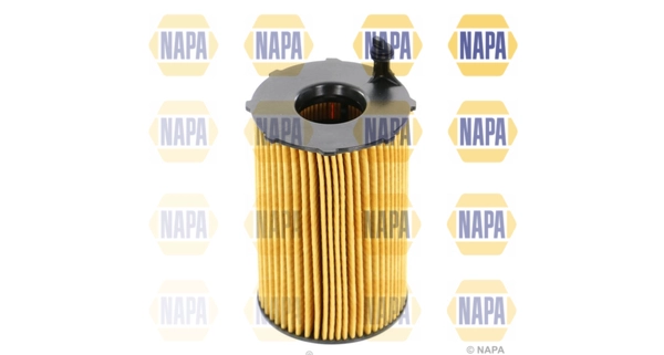 NFO3181