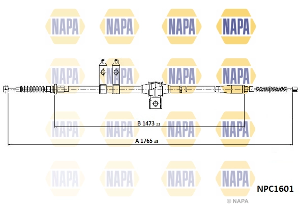 NPC1601
