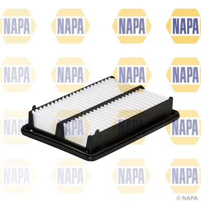 NFA1455