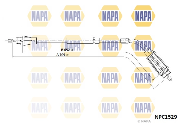 NPC1529