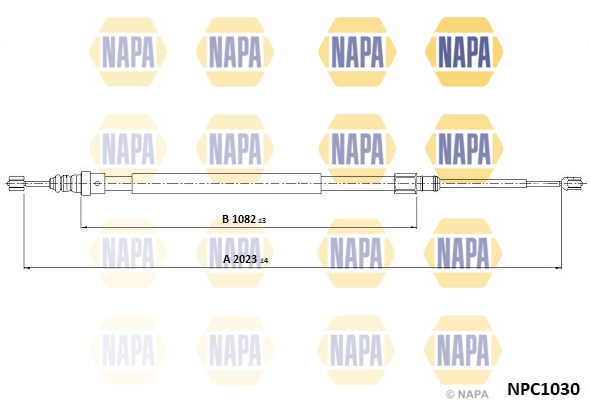 NPC1030