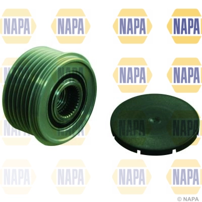 NOP1135