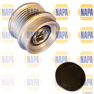 NOP1019