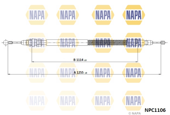 NPC1106