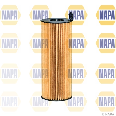 NFO3137