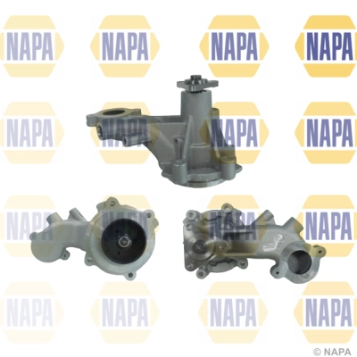NWP1605
