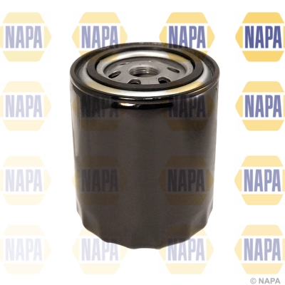 NFO3019