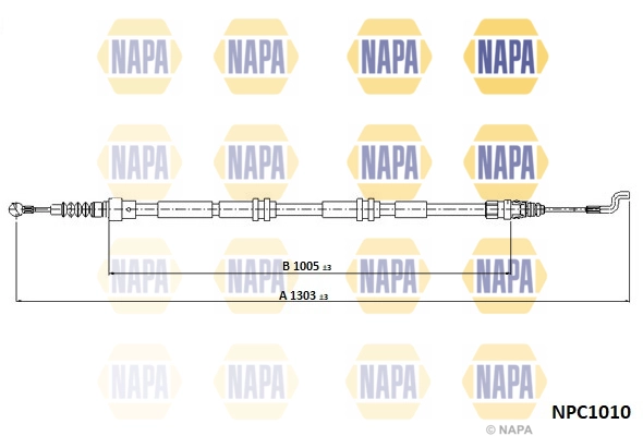 NPC1010