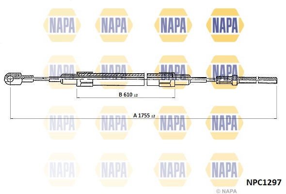 NPC1297