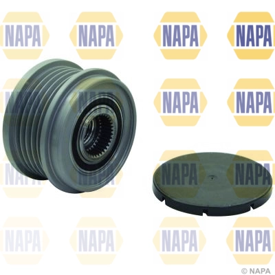 NOP1065