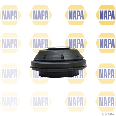 NKM1100