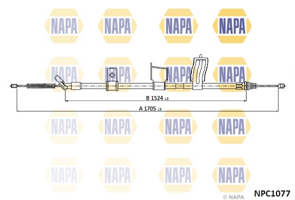 NPC1077