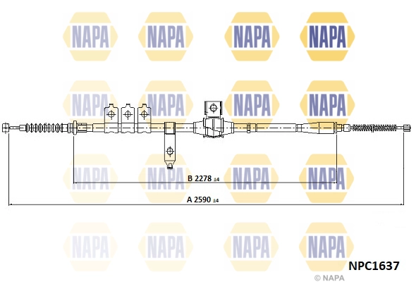 NPC1637