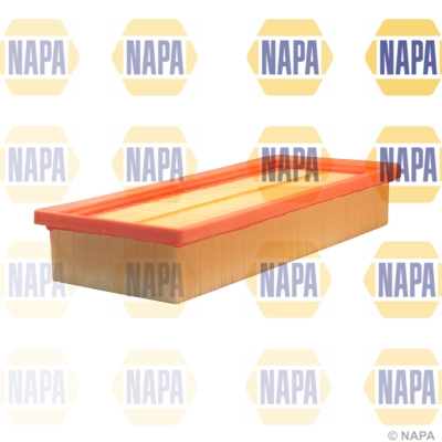 NFA1077