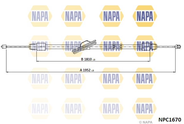 NPC1670