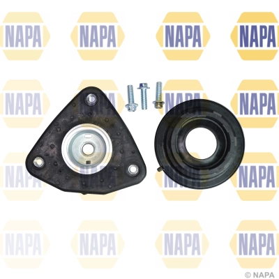 NKM1013