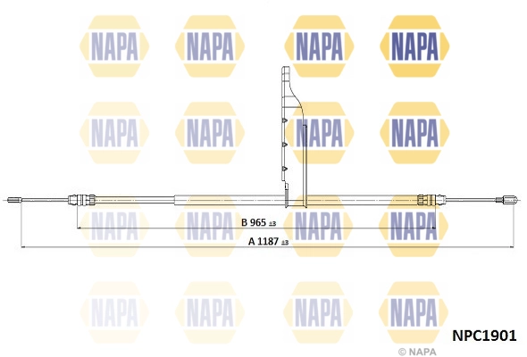 NPC1901