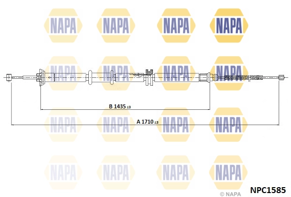 NPC1585