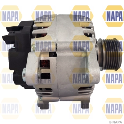 NAL1197