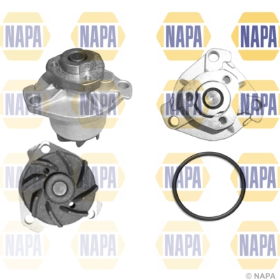 NWP1018