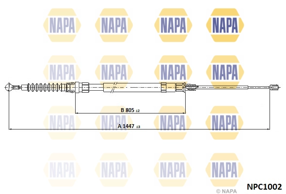 NPC1002