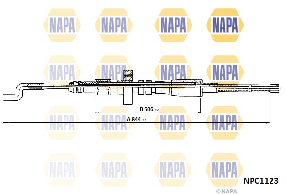 NPC1123