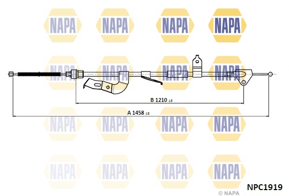 NPC1919
