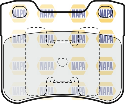 NBP1313