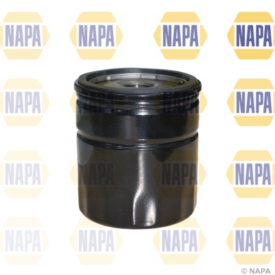 NFO3142